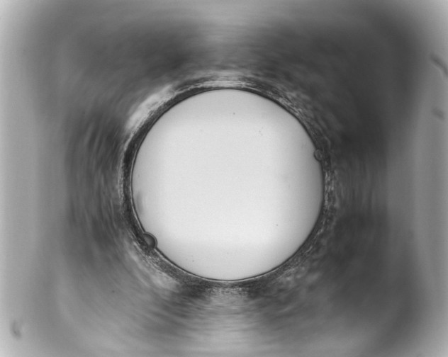 X0000101680296200807311525