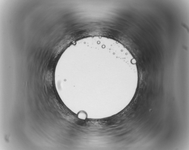 X0000101680297200807311525