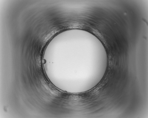 X0000101680298200807311525