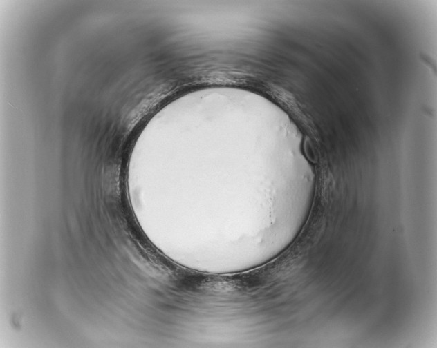 X0000101680299200807311525