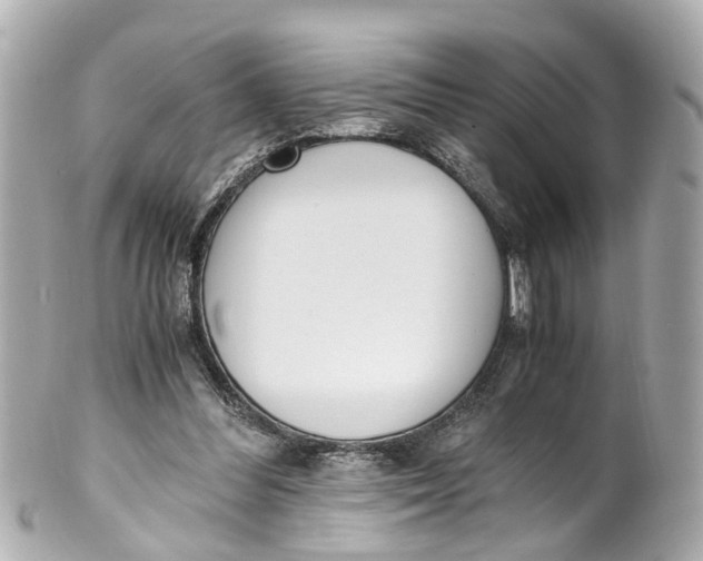 X0000101680300200807311525