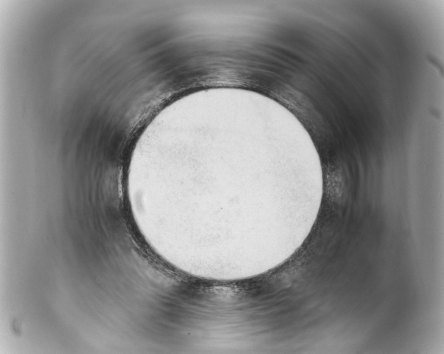 X0000101680302200807311525