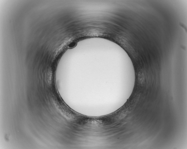 X0000101680304200807311525