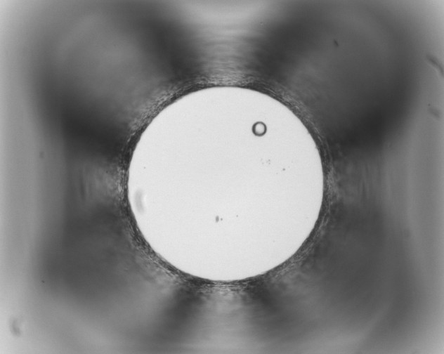 X0000101680305200807311525