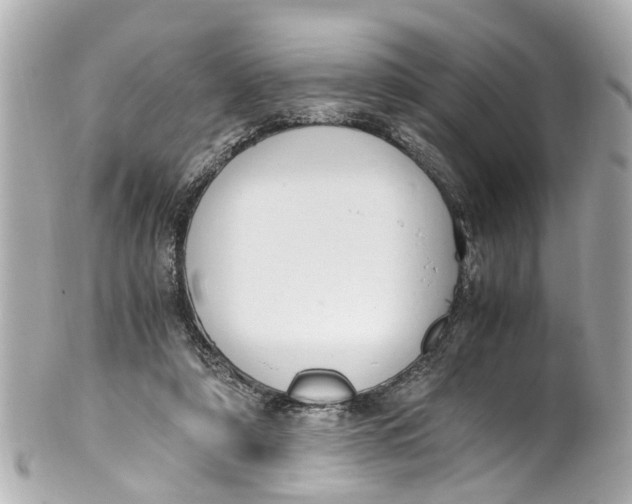 X0000101680306200807311525