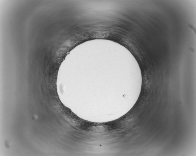 X0000101680307200807311525