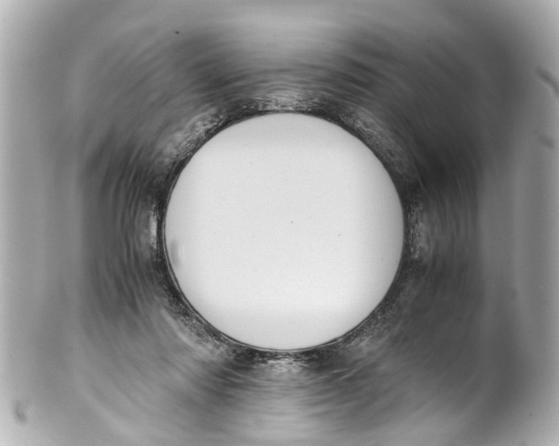 X0000101680310200807311525