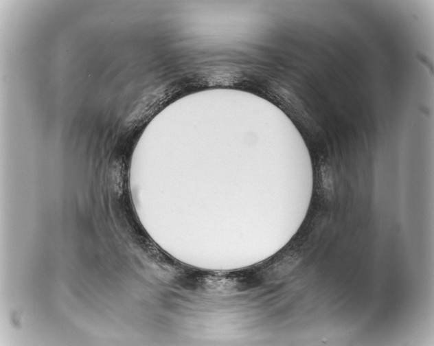 X0000101680311200807311525