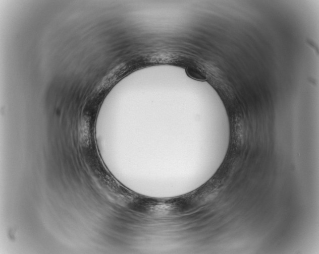 X0000101680312200807311525