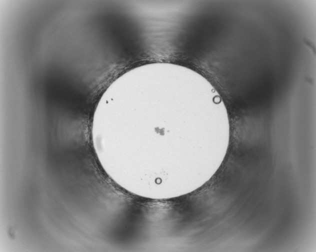 X0000101680313200807311525