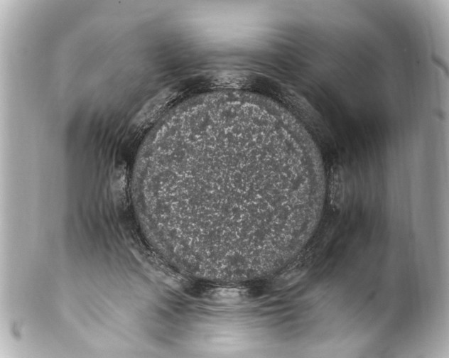 X0000101680314200807311525