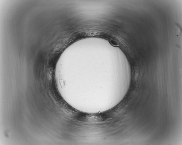 X0000101680315200807311525