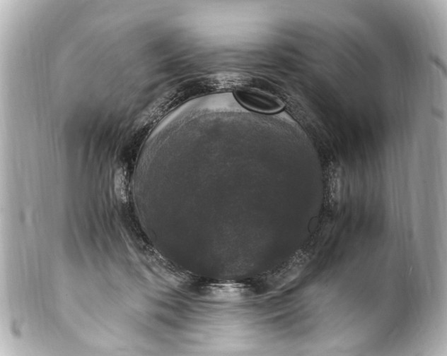 X0000101680316200807311525