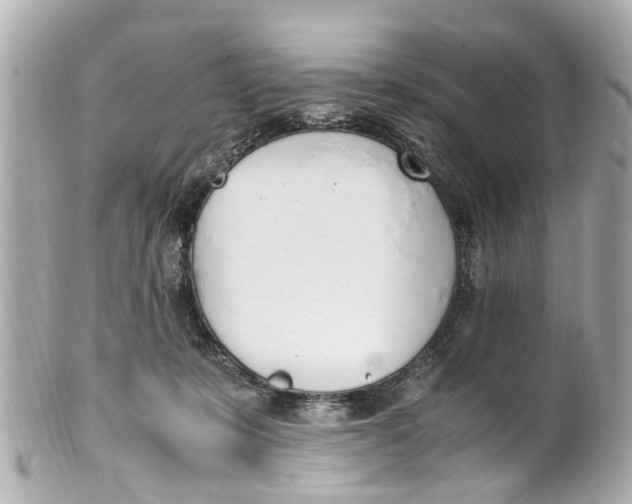 X0000101680319200807311525