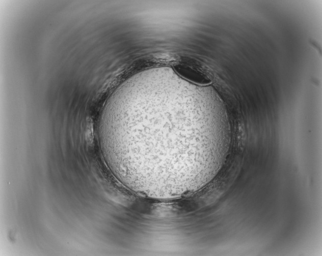 X0000101680320200807311525