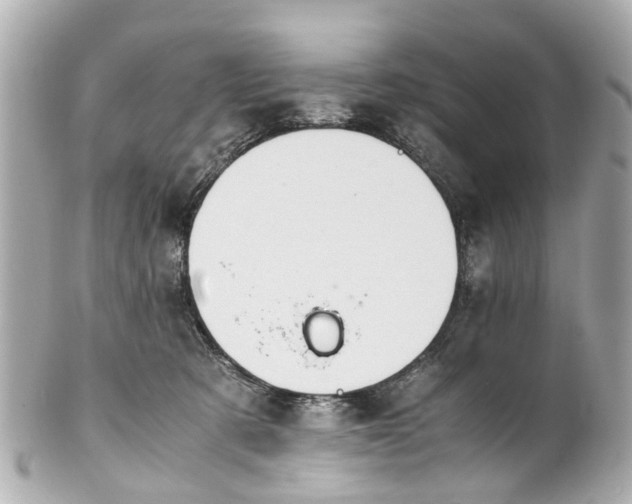 X0000101680321200807311525