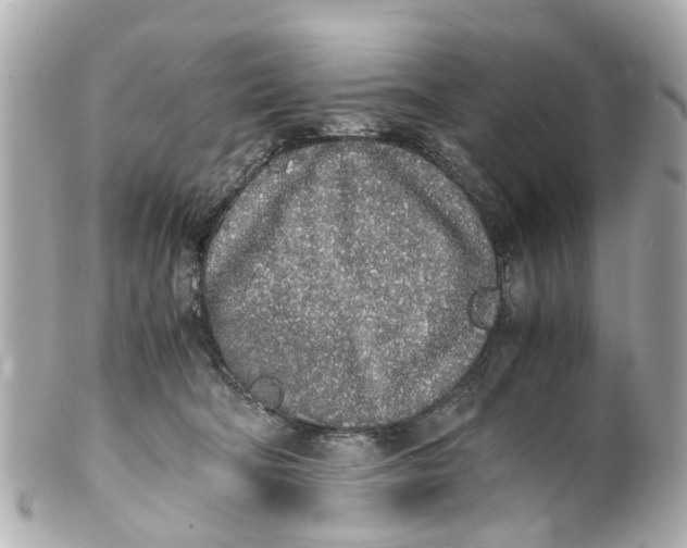 X0000101680322200807311525