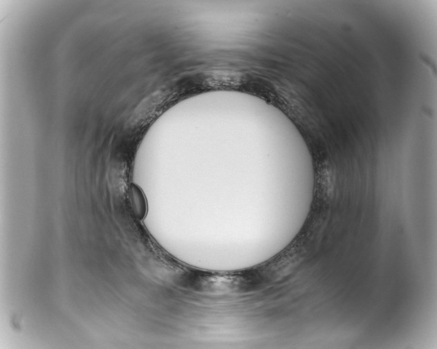 X0000101680323200807311525