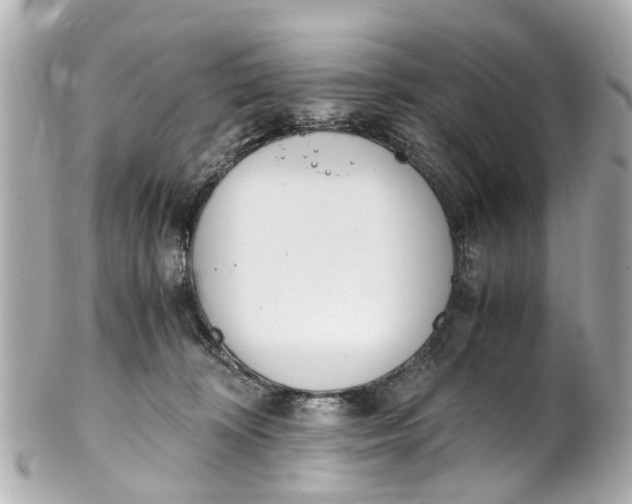 X0000101680324200807311525