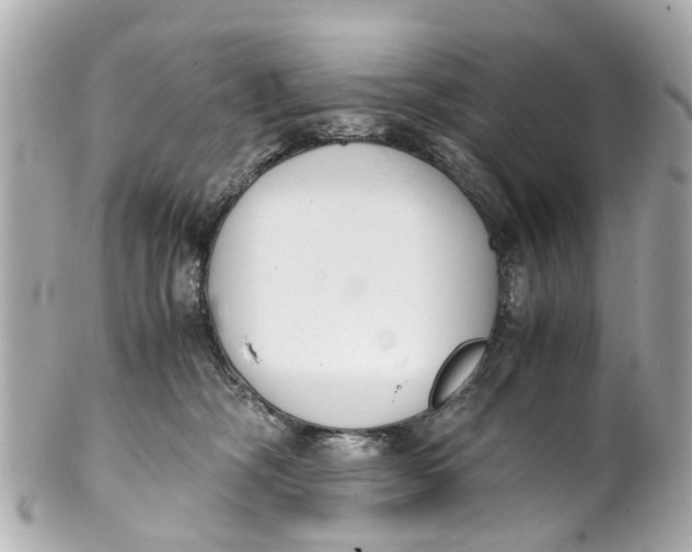 X0000101680326200807311525