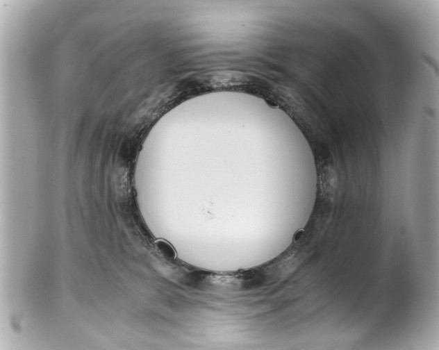 X0000101680327200807311525