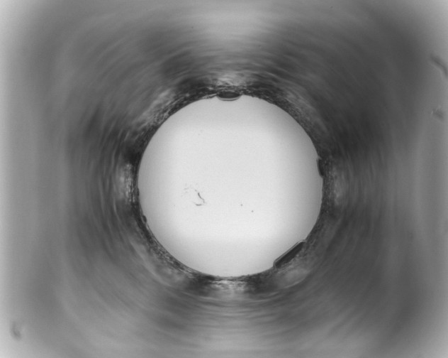 X0000101680328200807311525