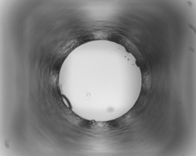 X0000101680329200807311525