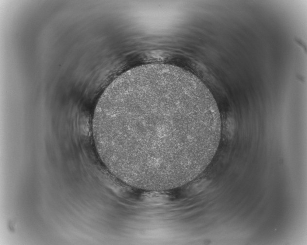 X0000101680331200807311524