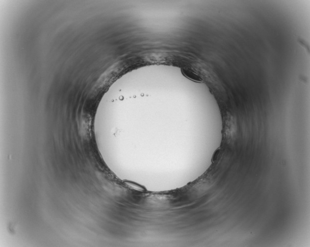 X0000101680332200807311524