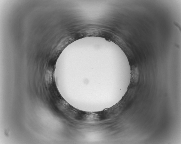 X0000101680333200807311524