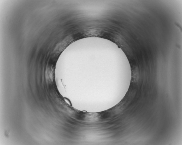 X0000101680334200807311524