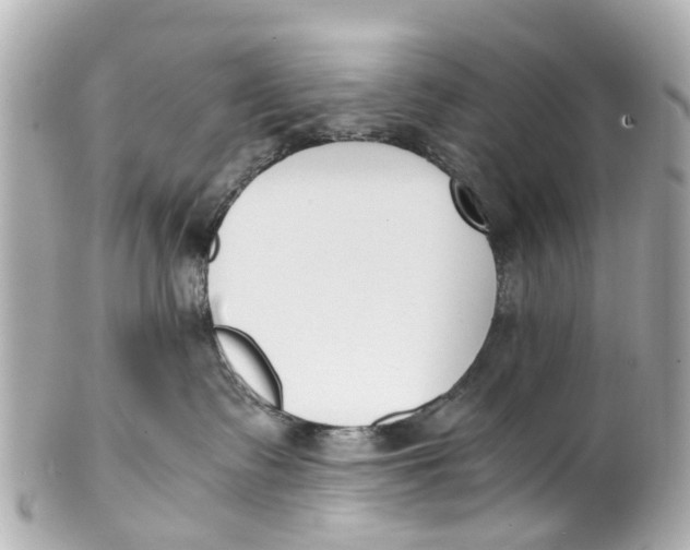 X0000101680335200807311524