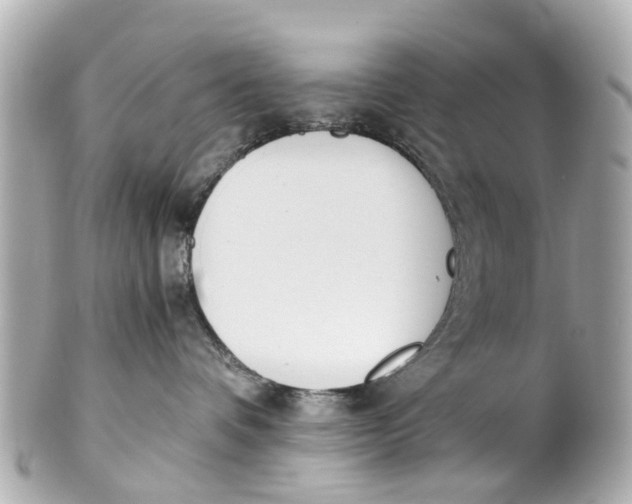 X0000101680336200807311524