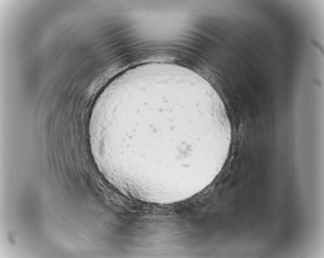 X0000101680337200807311524