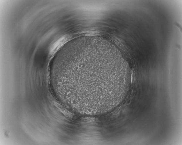 X0000101680339200807311524