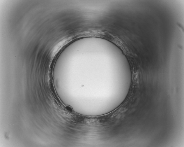 X0000101680340200807311524