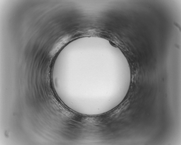 X0000101680341200807311524