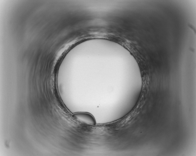 X0000101680342200807311524