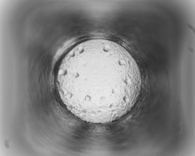 X0000101680343200807311524