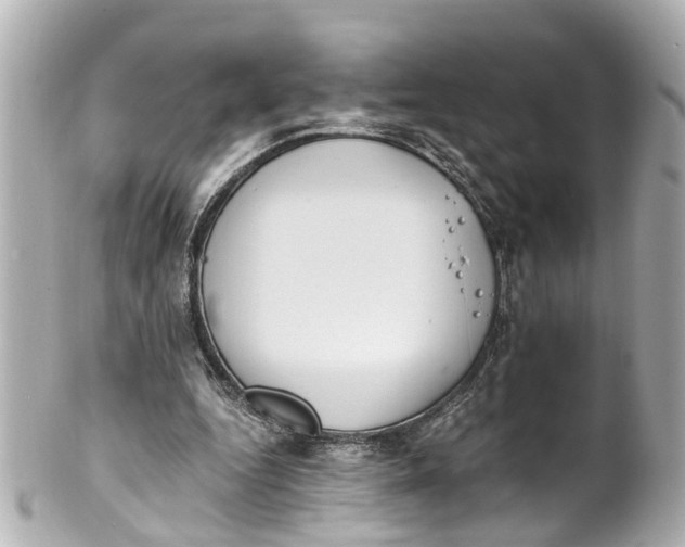 X0000101680344200807311524