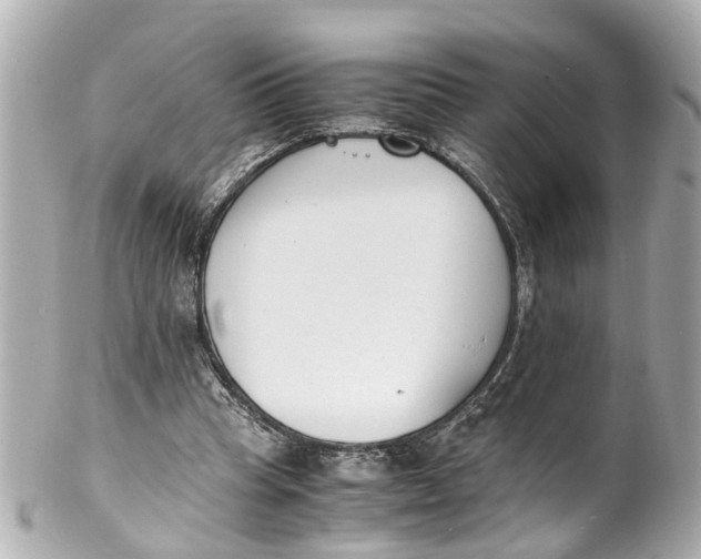 X0000101680345200807311524