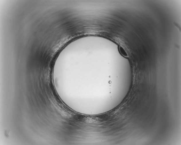 X0000101680346200807311524