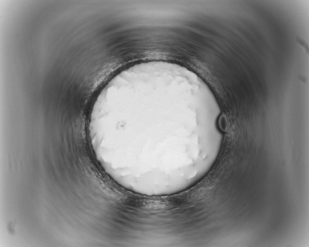 X0000101680347200807311524