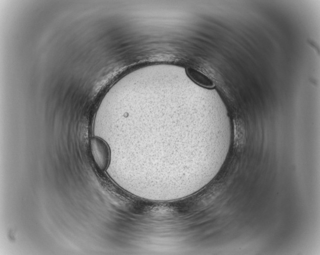 X0000101680348200807311524