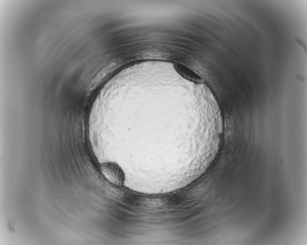 X0000101680349200807311524