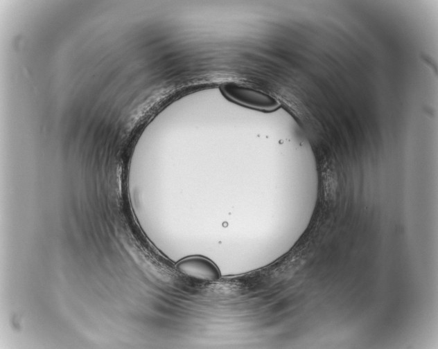 X0000101680350200807311524