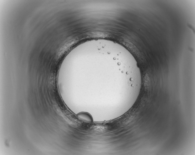 X0000101680352200807311524