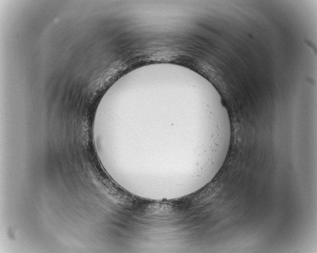 X0000101680354200807311524