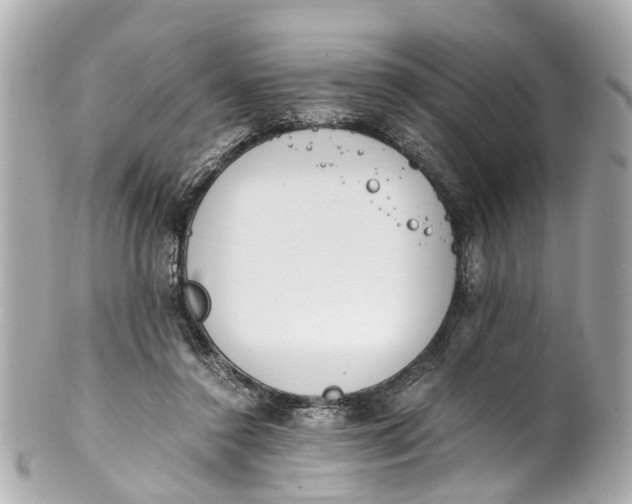 X0000101680356200807311524