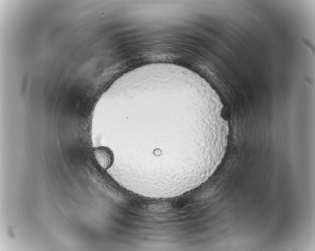 X0000101680357200807311524